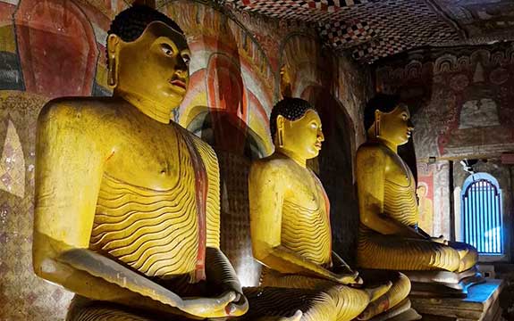 Private Taxi & Cabs from Dambulla